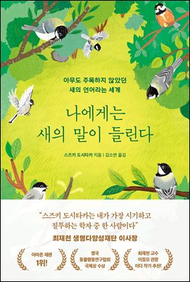 �����Դ� ���� ���� �鸰��