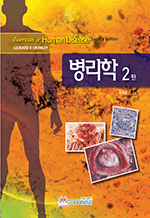  (2)