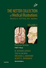 The Netter Collection Vol 7 Ű PART 1 (2)